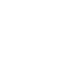 Dr. Invest